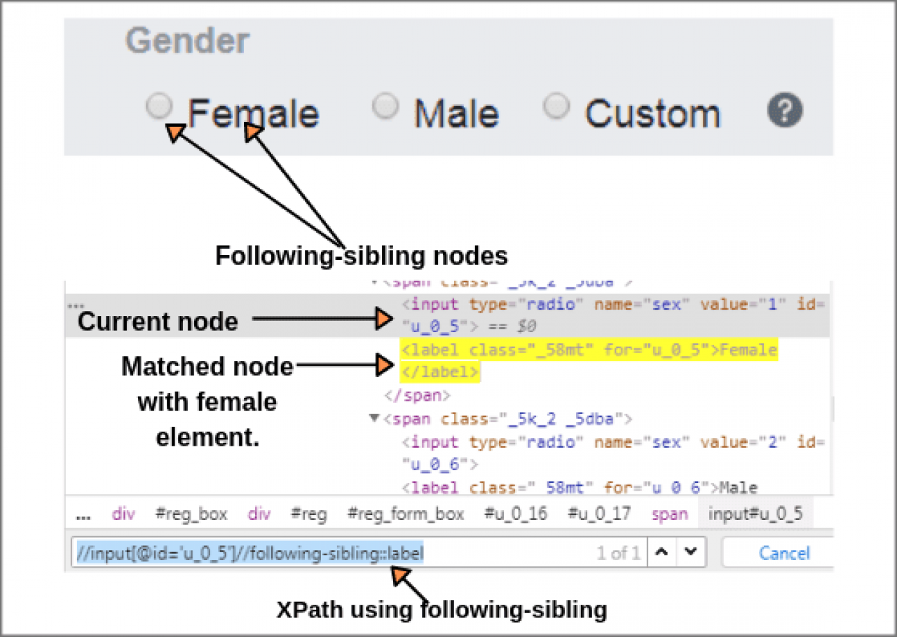 How To Write Xpath In Selenium